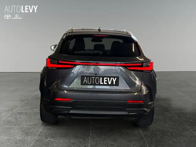 Lexus NX view 5