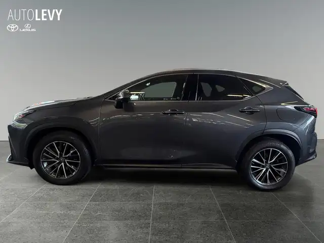 Lexus NX view 3