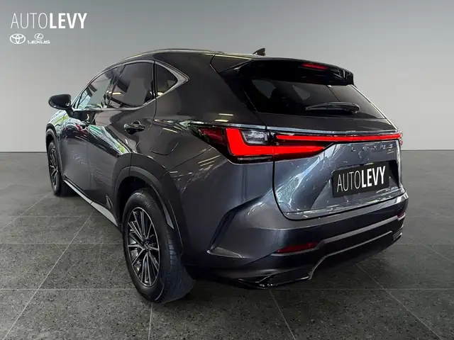 Lexus NX view 4