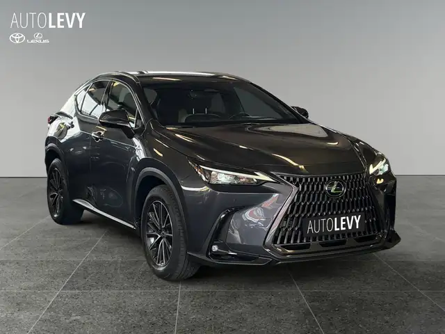 Lexus NX view 8