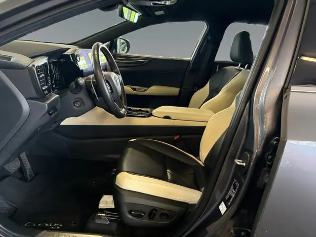 Lexus NX view 10