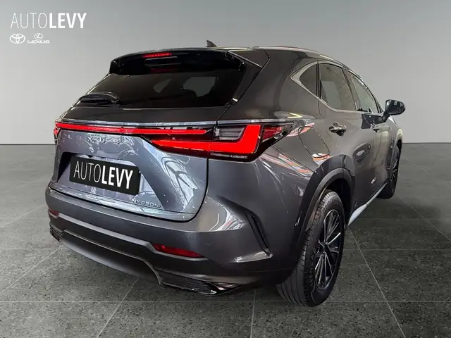 Lexus NX view 6