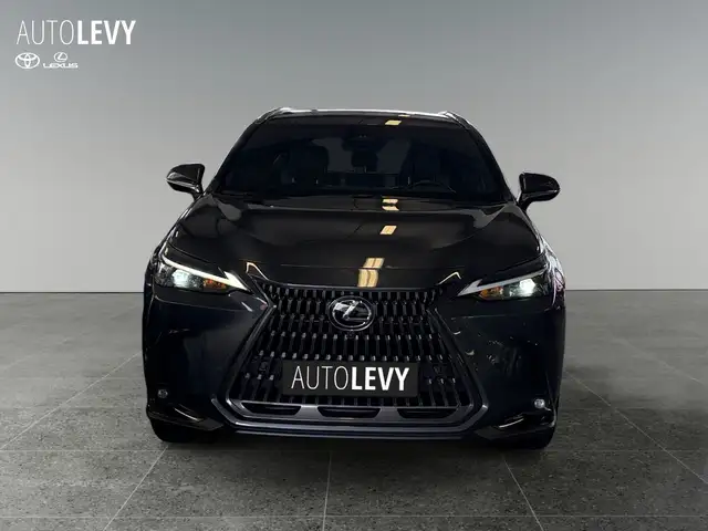Lexus NX view 9