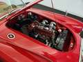 MG MGA A 1500 cabriolet Rouge - thumbnail 49