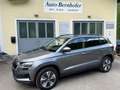 Skoda Karoq Ambition ACC  PDC Kamera MFL Led Grau - thumbnail 4