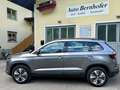 Skoda Karoq Ambition ACC  PDC Kamera MFL Led Grau - thumbnail 8