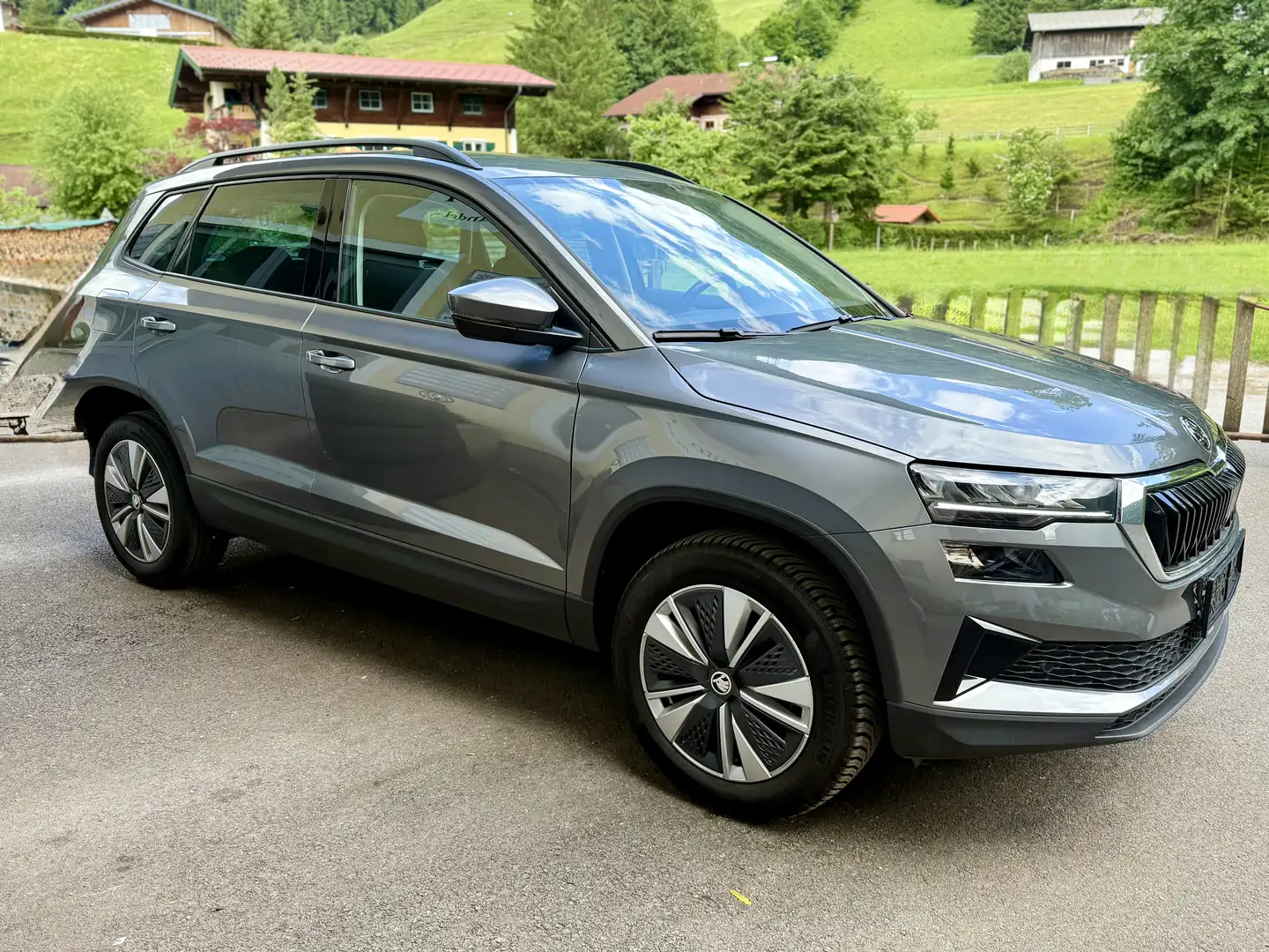 Skoda Karoq Ambition ACC PDC Kamera MFL Led Grau - 2