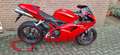 Ducati 1098 Rojo - thumbnail 8