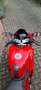 Ducati 1098 Rojo - thumbnail 14