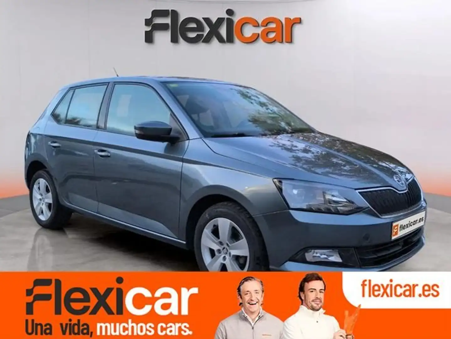 Skoda Fabia 1.2 TSI Ambition 66kW Gris - 1