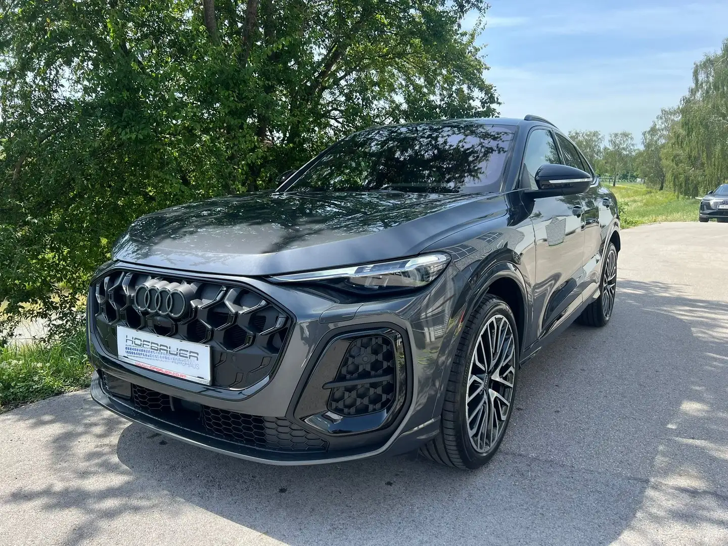 Audi SQ5 TFSI Grau - 1
