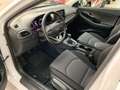 Hyundai i30 1.0 Select Mild-Hybrid Allwetter Weiß - thumbnail 17