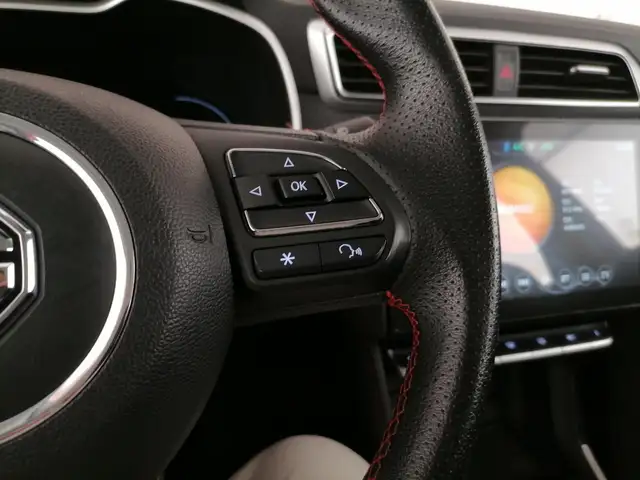 MG ZS view 19