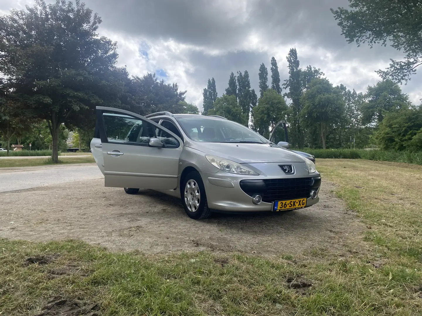 Peugeot 307 1.6-16V Grijs - 2