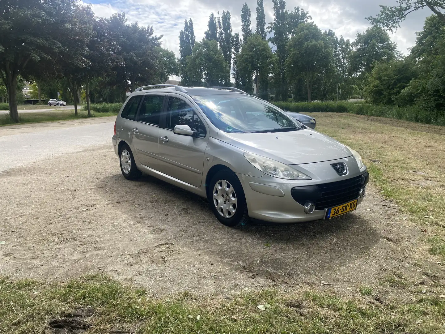 Peugeot 307 1.6-16V Grijs - 1