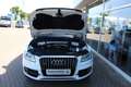 Audi Q5 2.0 TDI Weiß - thumbnail 18