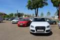 Audi Q5 2.0 TDI Weiß - thumbnail 30