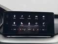 Skoda Octavia Combi 2.0 TDI DSG AMBITION STANDHZG AHK Grigio - thumbnail 14