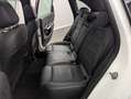 Mercedes-Benz B 200 B200 AMG LINE*19Z*SITZKLI*PANO*BURM*WIDE*AHK*LED Blanco - thumbnail 16