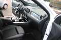 Mercedes-Benz GLA 200 Progressive Wenig Kilometer Weiß - thumbnail 9