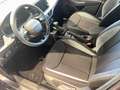 Skoda Scala Scala 1.0 TSI Evo 2 116 ch DSG7 Gris - thumbnail 11