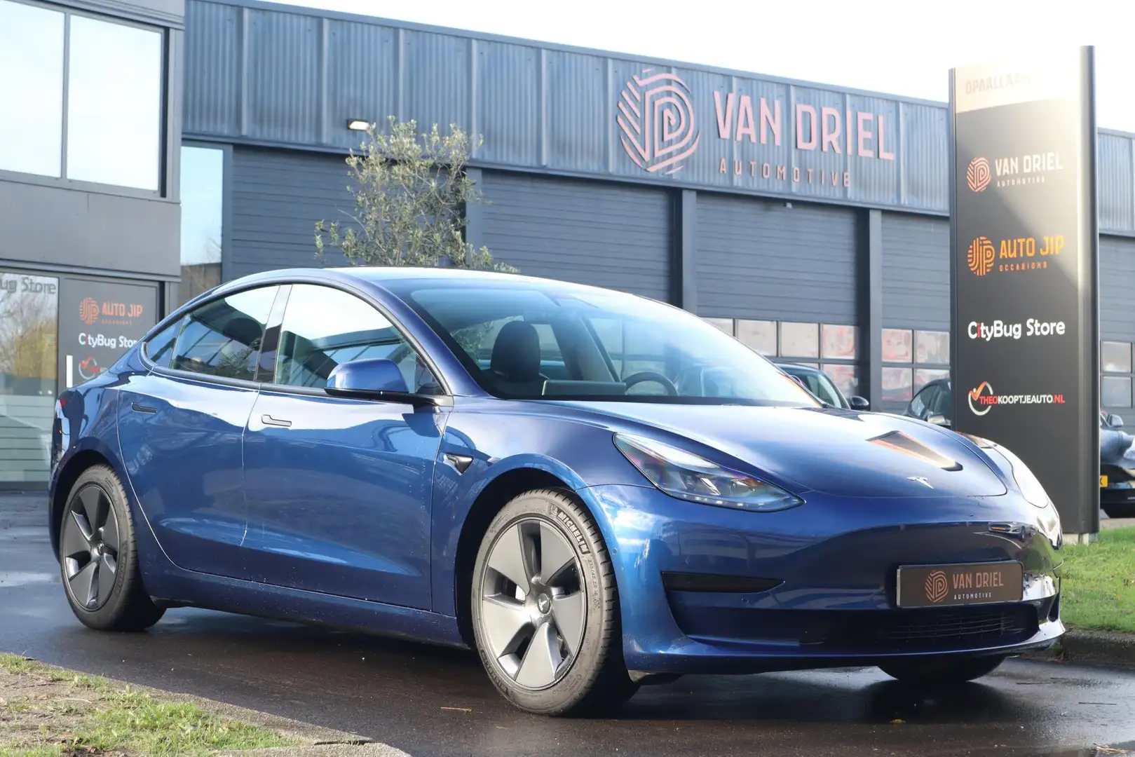 Tesla Model 3 Standard RWD Plus 60 kWh Blu/Azzurro - 1