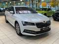 Skoda Superb Combi Style Hybrid 1.4 TSI DSG Navi PDC Weiß - thumbnail 4