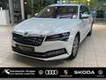 Skoda Superb Combi Style Hybrid 1.4 TSI DSG Navi PDC Weiß - thumbnail 1