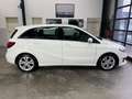 Mercedes-Benz B 180 Aut. Urban Sports Tourer+1.Hd+PDC+SHZ+17" Blanc - thumbnail 7