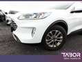 Ford Kuga 1.5 EcoBoost 150 Titanium Nav PDC Kam SHZ Weiß - thumbnail 5
