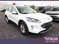 Ford Kuga 1.5 EcoBoost 150 Titanium Nav PDC Kam SHZ Weiß - thumbnail 2