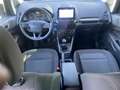 Ford EcoSport 1.0 EcoBoost Titanium Stoelverwarming Stuurverwarm Noir - thumbnail 13