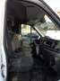 Ford Transit 2000 TDCI FURGONE L3H3 170CV PDC A&P ITALIA Blanc - thumbnail 6