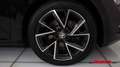 Skoda Superb Skoda Superb Sportline Schwarz - thumbnail 9