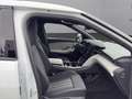 Ford Capri CX740L 5D 82ER285 ZE2 CT RWD Bianco - thumbnail 10