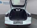 Ford Capri CX740L 5D 82ER285 ZE2 CT RWD Bianco - thumbnail 14
