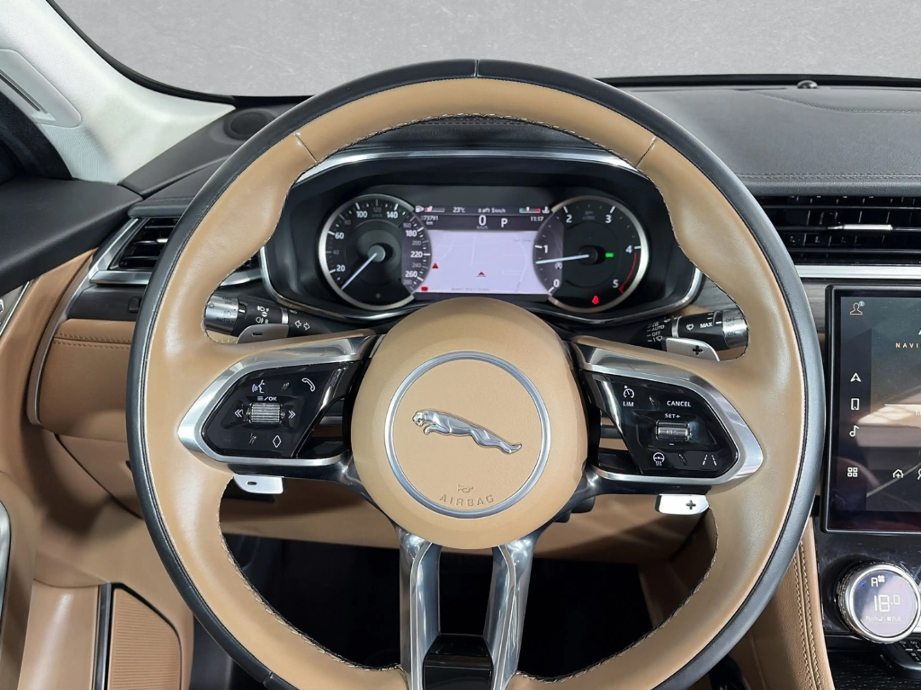Jaguar F-Pace D300 S *SHZ* *LHZ* *ACC* *NSW* — photo 11