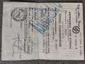 Oldtimer Alfa Romeo Giulia Sprint 1600 Wit - thumbnail 12