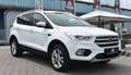 Ford Kuga Titanium 4x4 1.Hand ! Wit - thumbnail 5