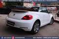 Volkswagen Maggiolino Cabrio 2.0 TDI DSG Karmann Edition Bílá - thumbnail 3