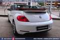 Volkswagen Maggiolino Cabrio 2.0 TDI DSG Karmann Edition Wit - thumbnail 25