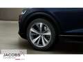 Audi Q8 50TDI qu. ACC/Pano/AHK/AIR/21Zoll/eSitze/VC+ Kék - thumbnail 5