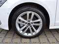 Audi 30 TFSI Advanced LED/RFK/PARK-ASSIST/GRA/17-ZOLL/ Blanc - thumbnail 6