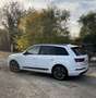 Audi SQ7 4.0 TDI quattro tiptronic - thumbnail 4