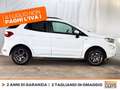 Ford EcoSport 1.0 ecoboost st-line s&s 125cv my20.25 Bianco - thumbnail 6