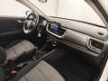 Kia Stonic 1.2 DPi Concept Weiß - thumbnail 4