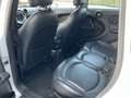MINI Cooper SD Countryman Mini 2.0 Cooper SD Countryman ALL4 Bianco - thumbnail 11