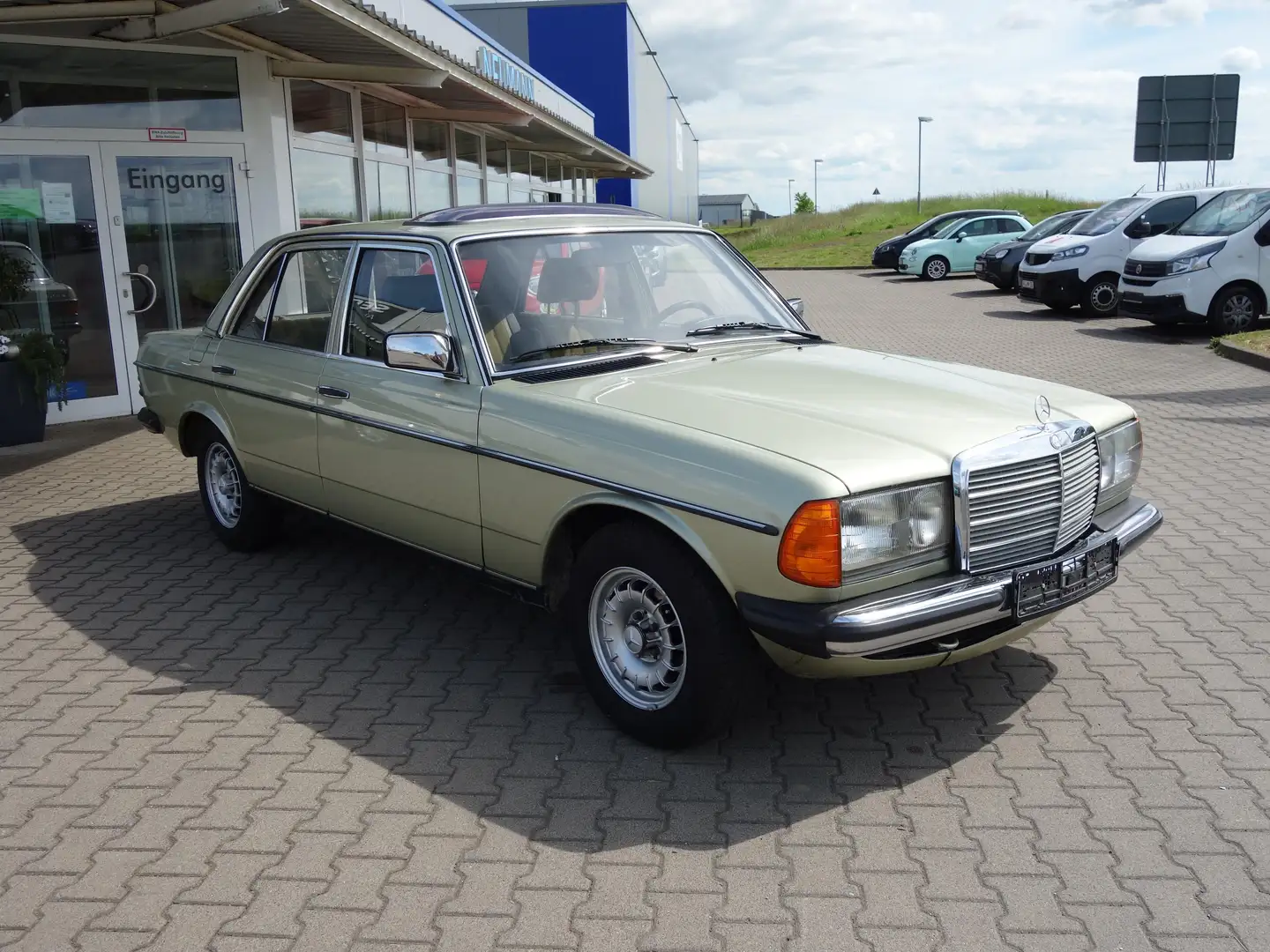 Mercedes-Benz Baureihe 123 Baureihe 123 230 E *Automatik/ABS/SCHIEBEDACH* Grün - 2