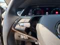 Skoda Octavia Combi 2,0 TDI Style DSG | AHK*PANO*ACC Grau - thumbnail 29