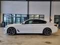 BMW 520 i M-SPORT LEDER KOMFORTZ H&K GLASDACH CAMERA Білий - thumbnail 8